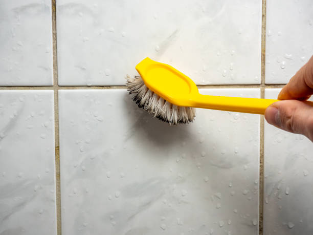 Best Mold Testing and Removal  in Lamont, MI